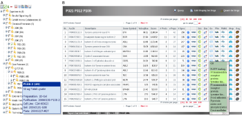 MASPECTRAS tree view